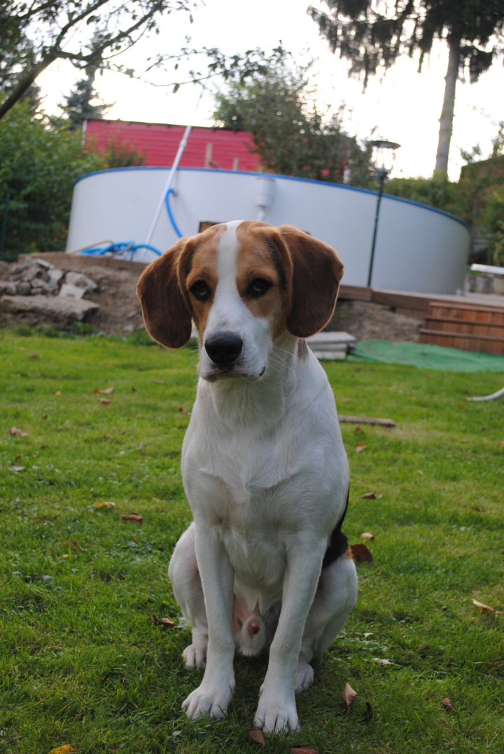 Alltagstraining Wien